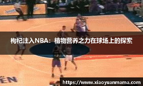 枸杞注入NBA：植物营养之力在球场上的探索